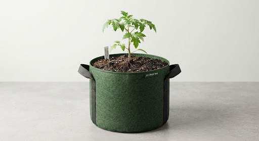 Geo Bag 3D
